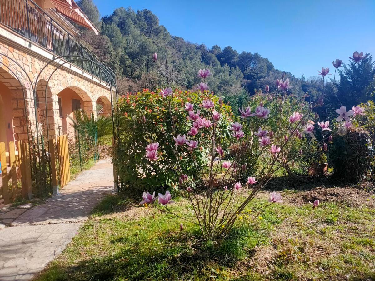 Un Brin De Paille * Cagnes-sur-Mer